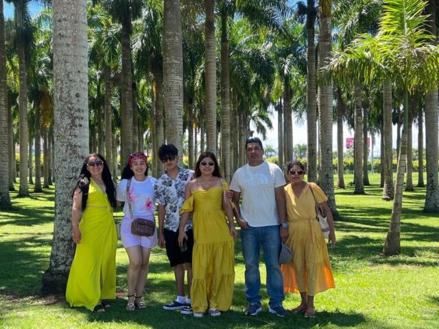 Grupo de viajeros posando entre palmeras reales en República Dominicana